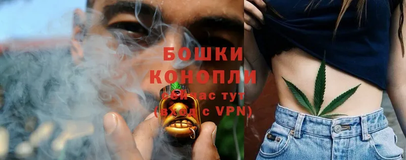 Каннабис White Widow  где найти   Новопавловск 